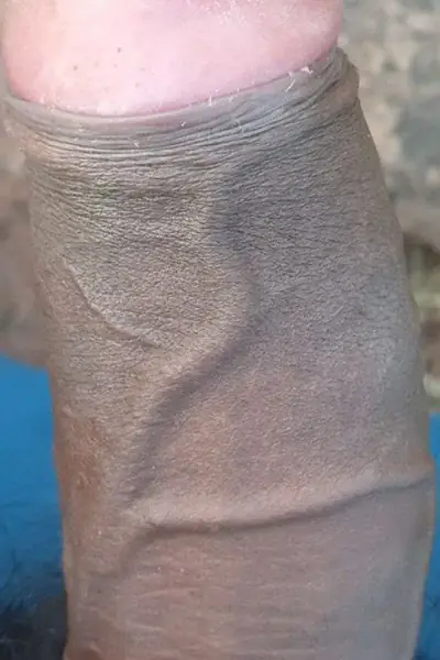 Iam male i like girls and women for fucking in free service - photo 1